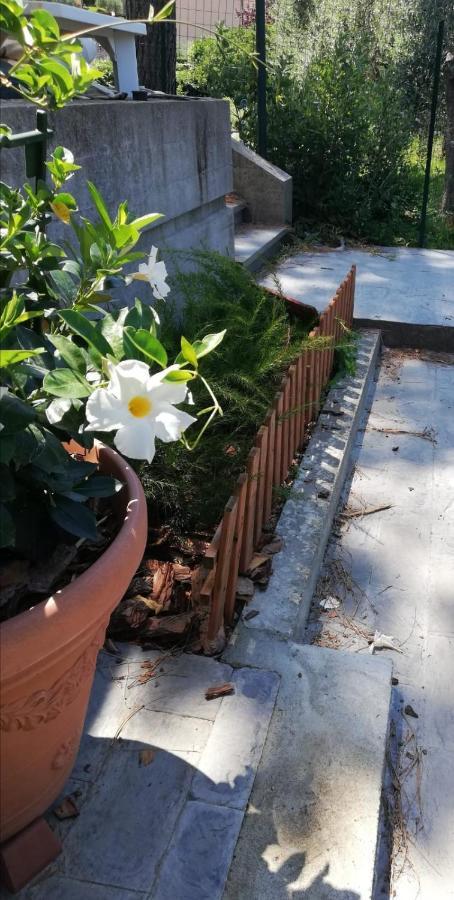 Ca Du Angiulin Hotel Casarza Ligure Eksteriør billede