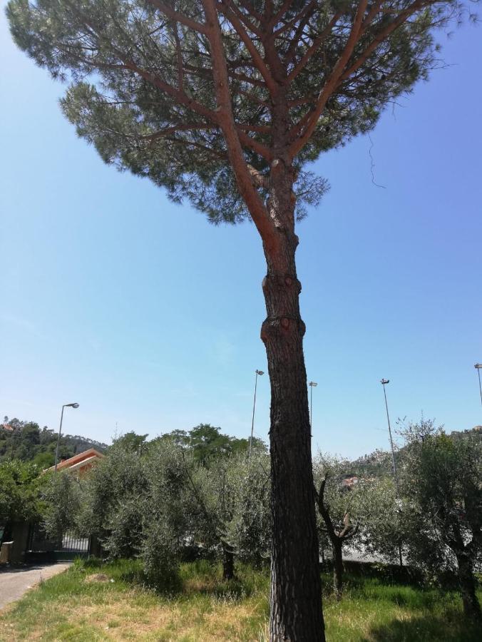 Ca Du Angiulin Hotel Casarza Ligure Eksteriør billede